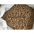 8mm 10mm Chickpeas for Sale